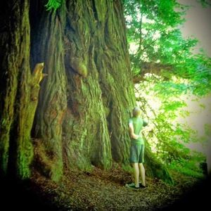 Meet your Posher, Henry